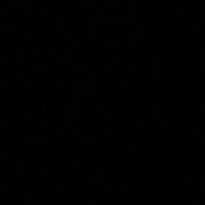 Meet your Posher, Kiara